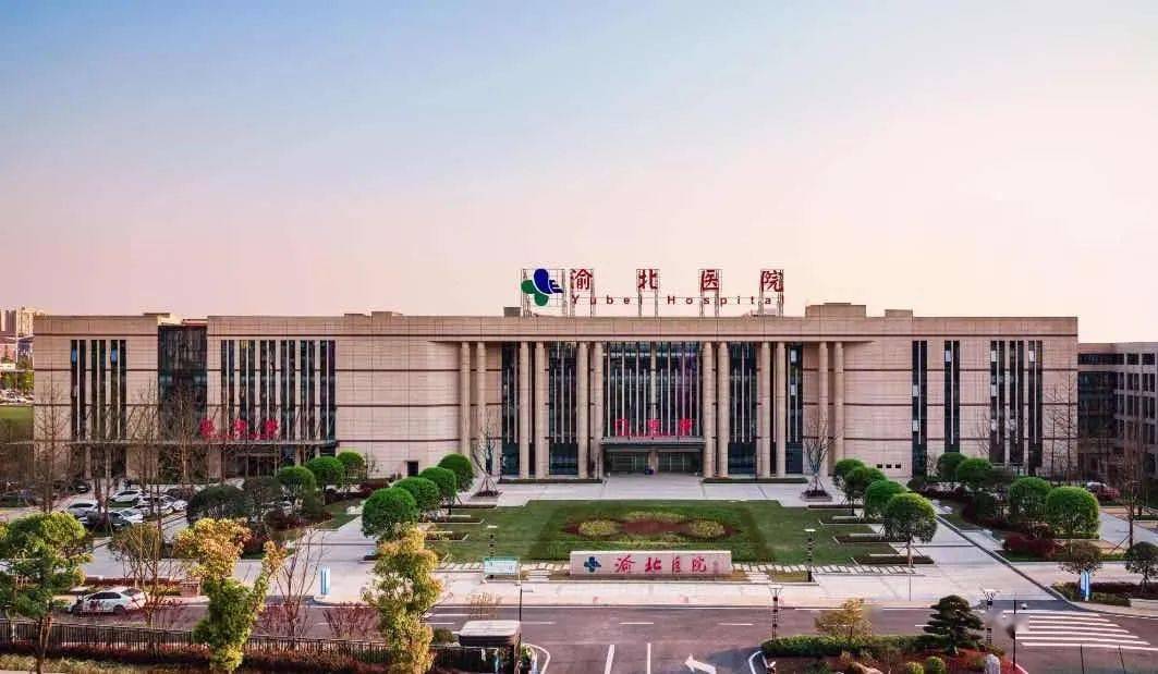 渝北加快实施城市提升行动,在双城经济圈建设中展现大担当实现新作为_渝北区