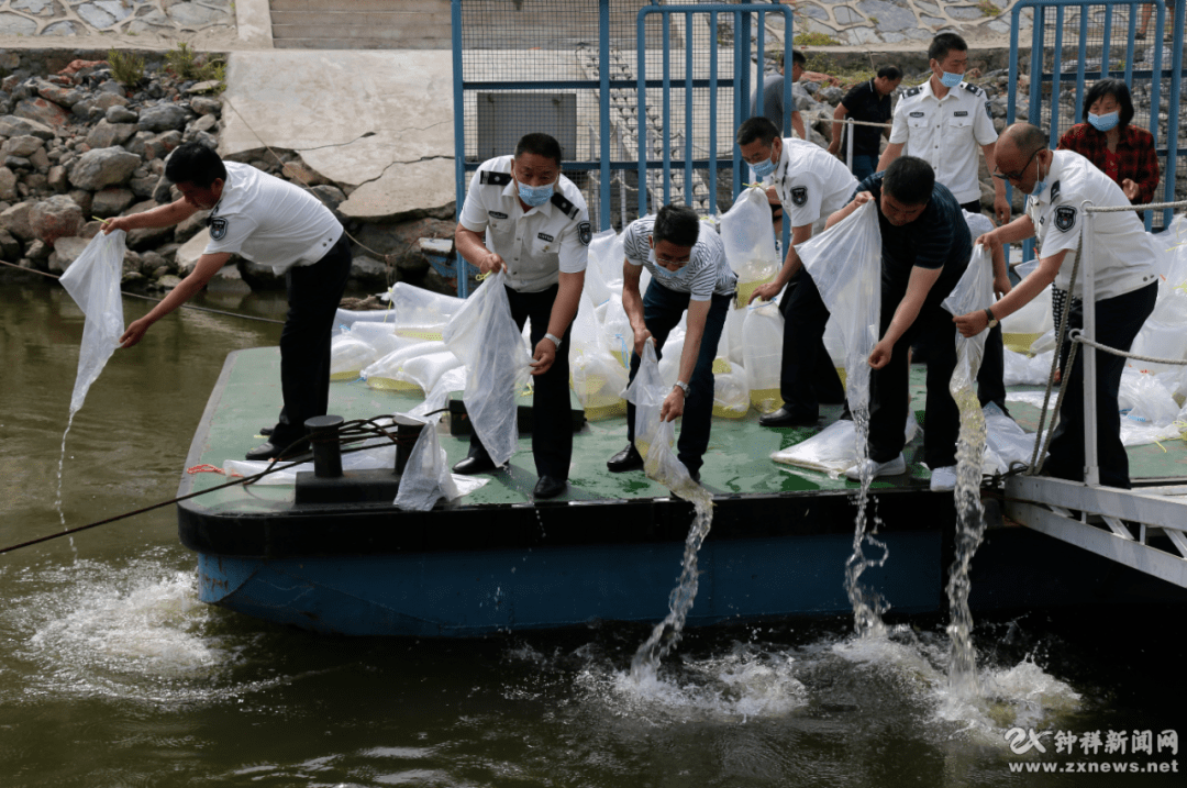 漢江在鍾祥境內長達144公里,是鱤䲘鯮魚國家級水產種質資源保護區所在