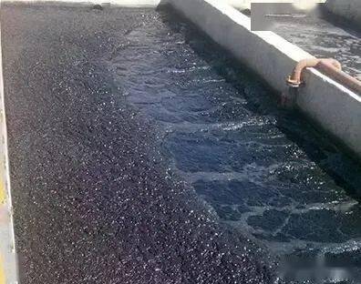 污水生物处理中的好好氧颗粒污泥的形成机理