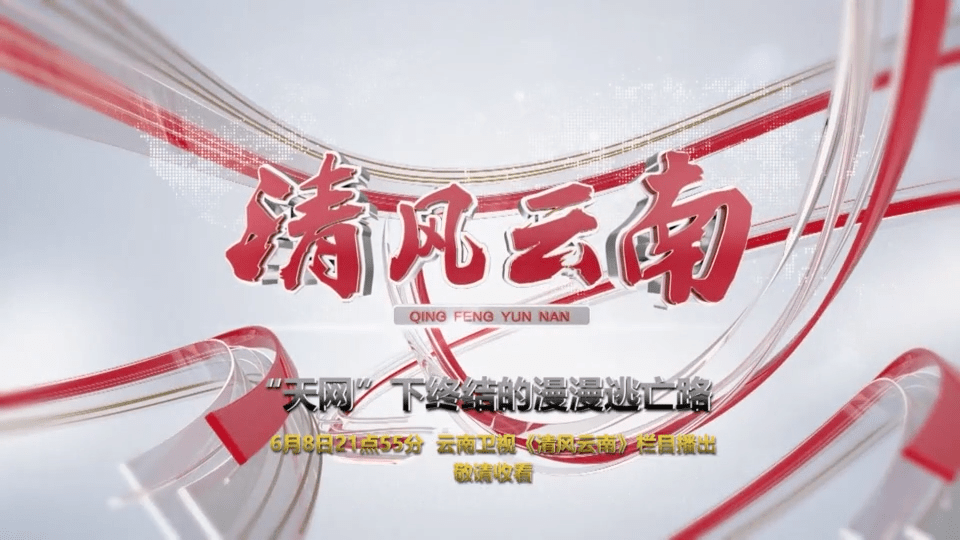 【节目预告】云南卫视《清风云南》06月08日21点55分 播出 《"天网"下