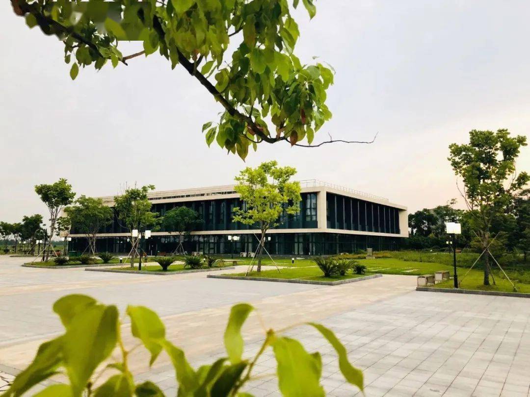 高考倒计时30天砺学砺行维实维新全国百强高校浙江师范大学为高考学子