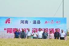 创造营2020郑馨文排名9_《创造营2020》徐艺洋第一赛段排名第九发言化身“