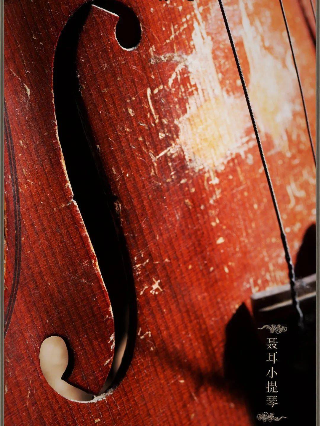 聂耳的小提琴图片