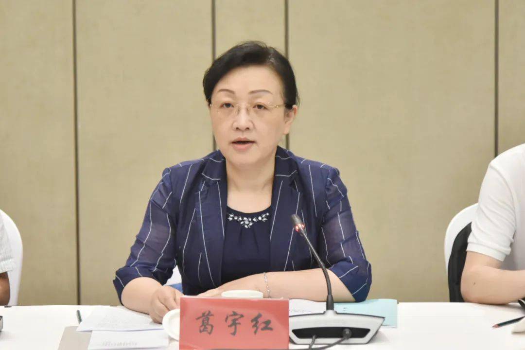 区委副书记,组织部部长,统战部部长葛宇红出席会议.