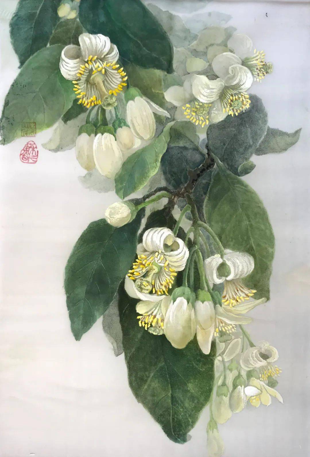 预约参观|非遗通草画——讲述古今中国故事展览