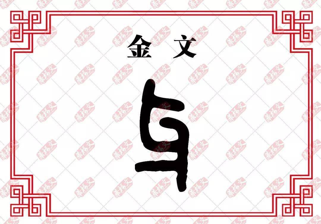金文与小篆从古文字看,"牙"指的是恒牙,也就是我们嚼东西的时候用的嚼