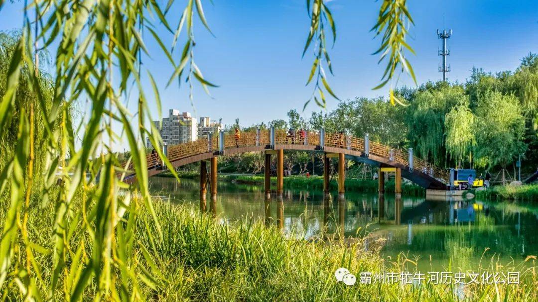 邯郸市牤牛河图片