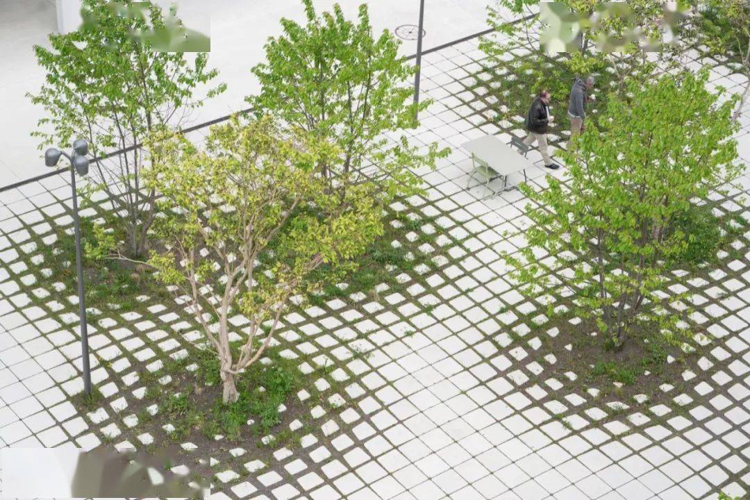 会种树让设计具有高级感