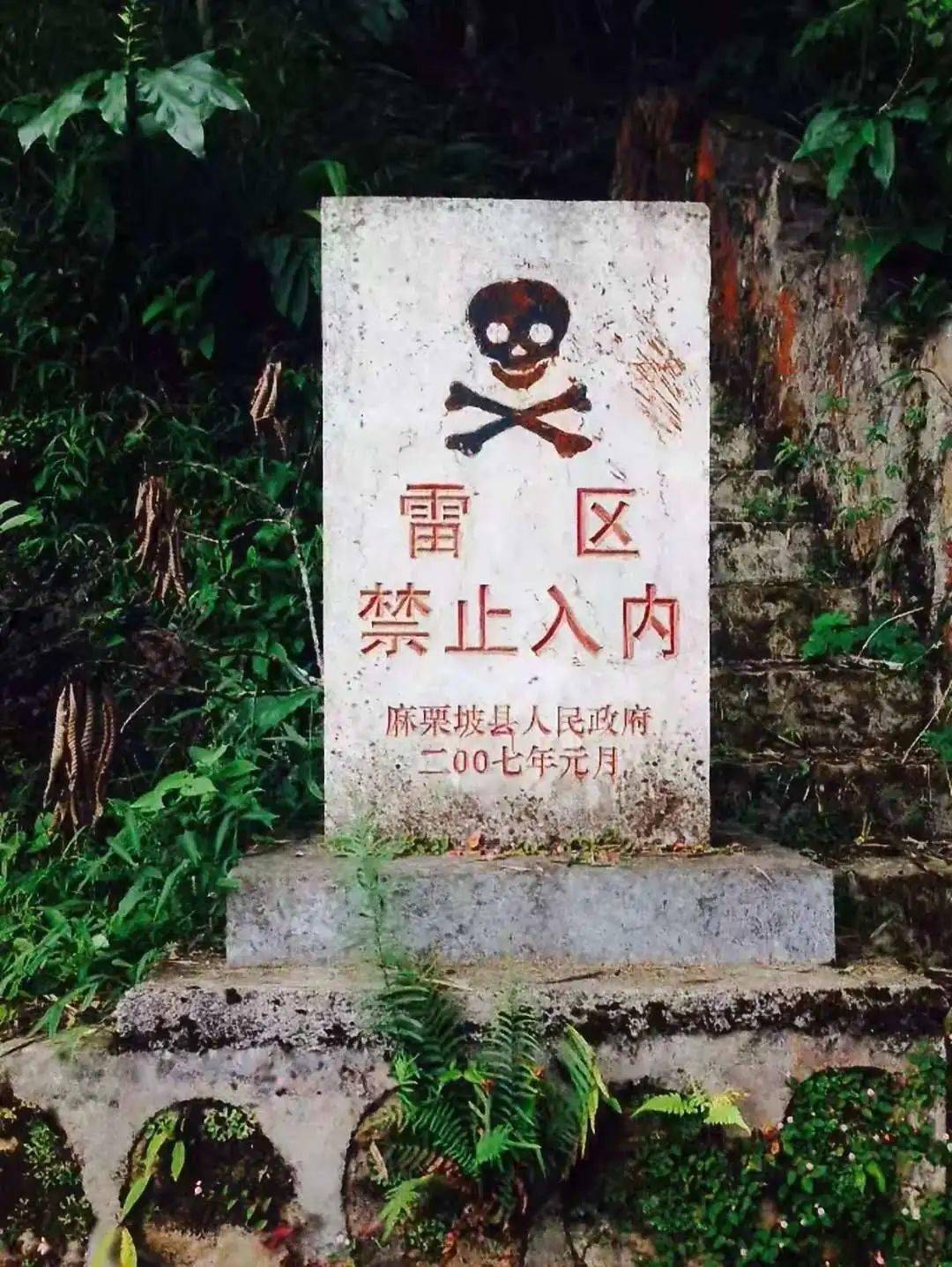 2009年,我们再次回到祖国西南边陲,我和战友们的第二故乡——麻栗坡