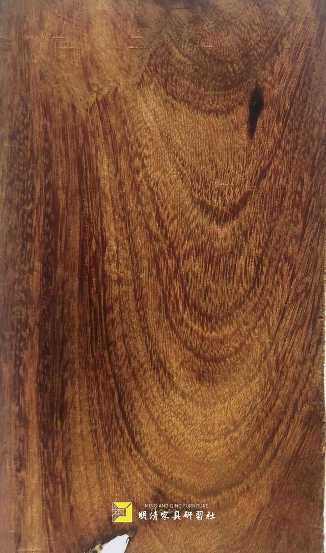 铁力木榆木瘿木柞木沉香木沉香樟木楸木龙眼木柚木槭木荔枝木槐木椿木