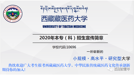 西藏藏医药大学2020年招生政策变化