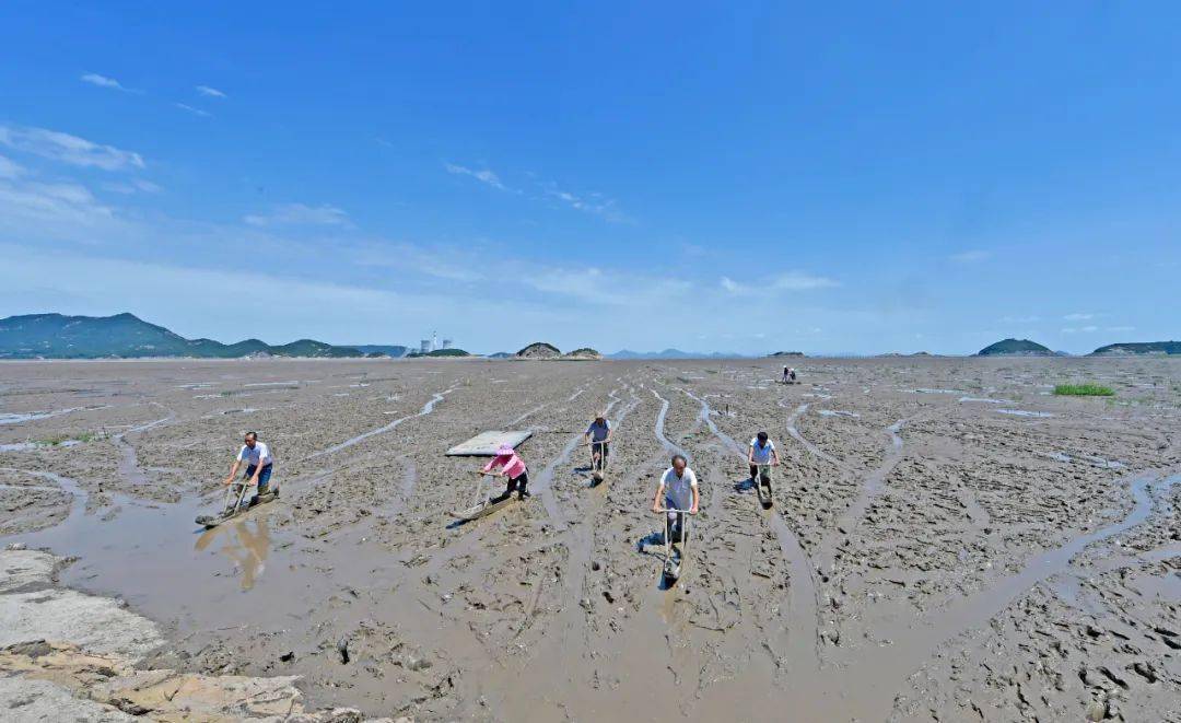 看海听涛踏浪夏天来三门就是一种戒不掉的瘾