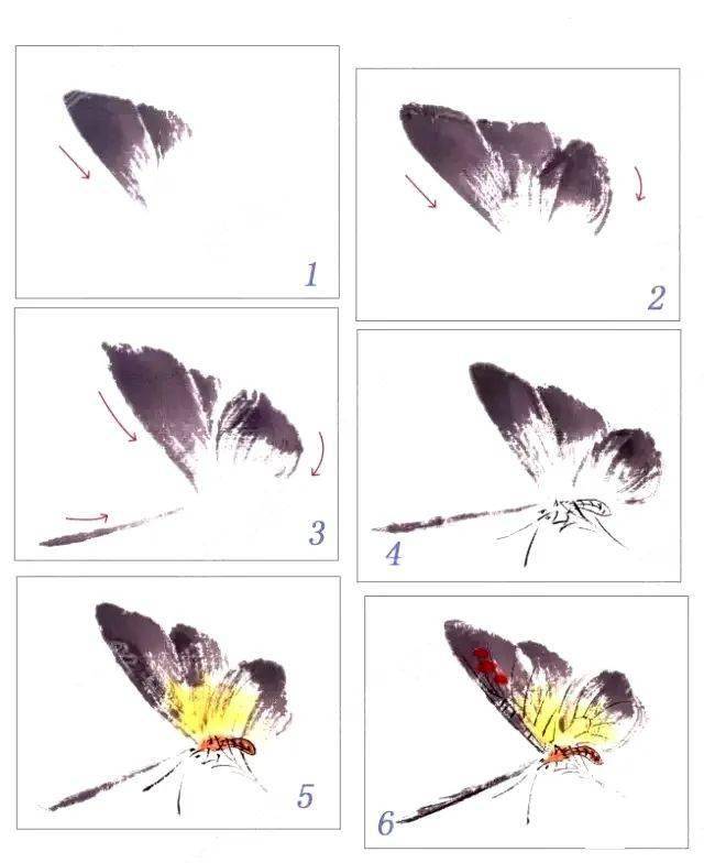 大写意蝴蝶的画法图片