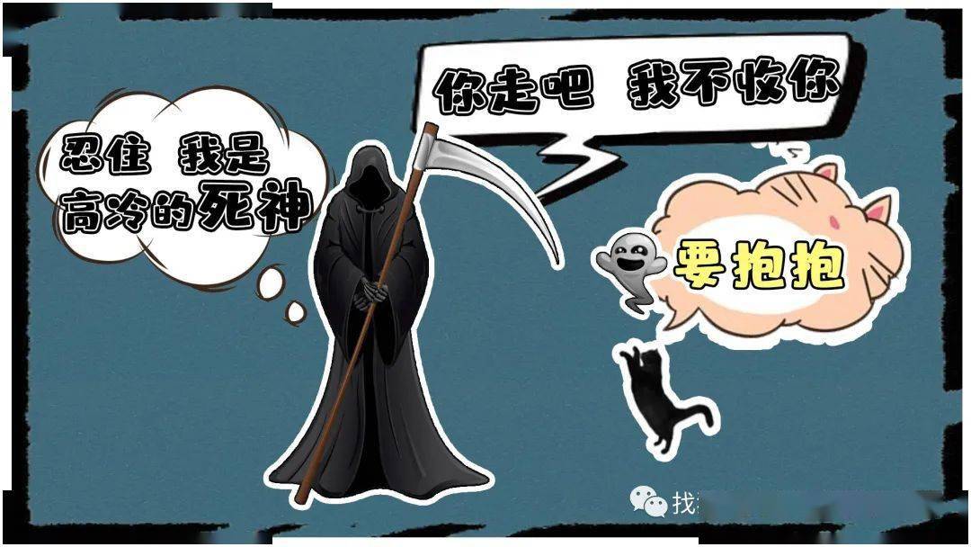 猫咪七楼跳下为何轻生死神我不收你你走吧