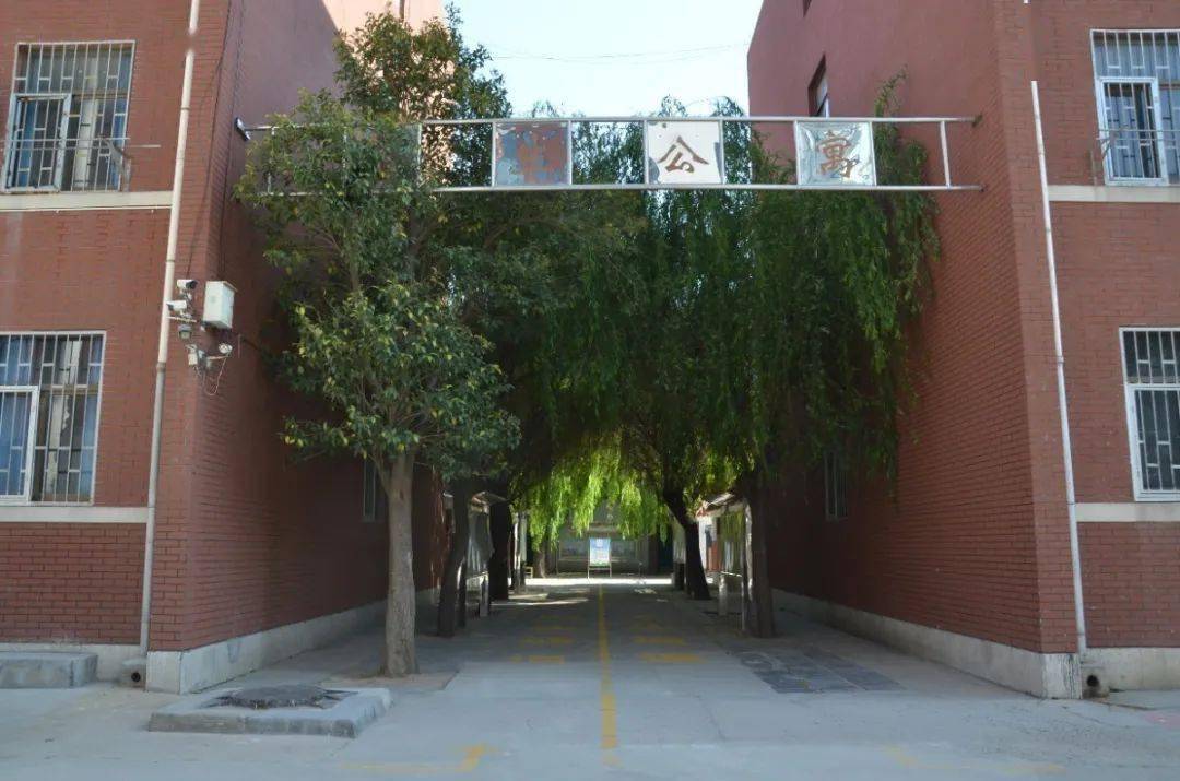 招生啦濮阳外国语学校最新招生政策出炉速看