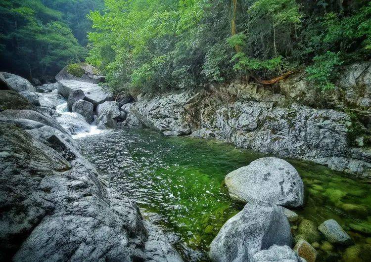 炎陵梨树洲夏日避暑胜地