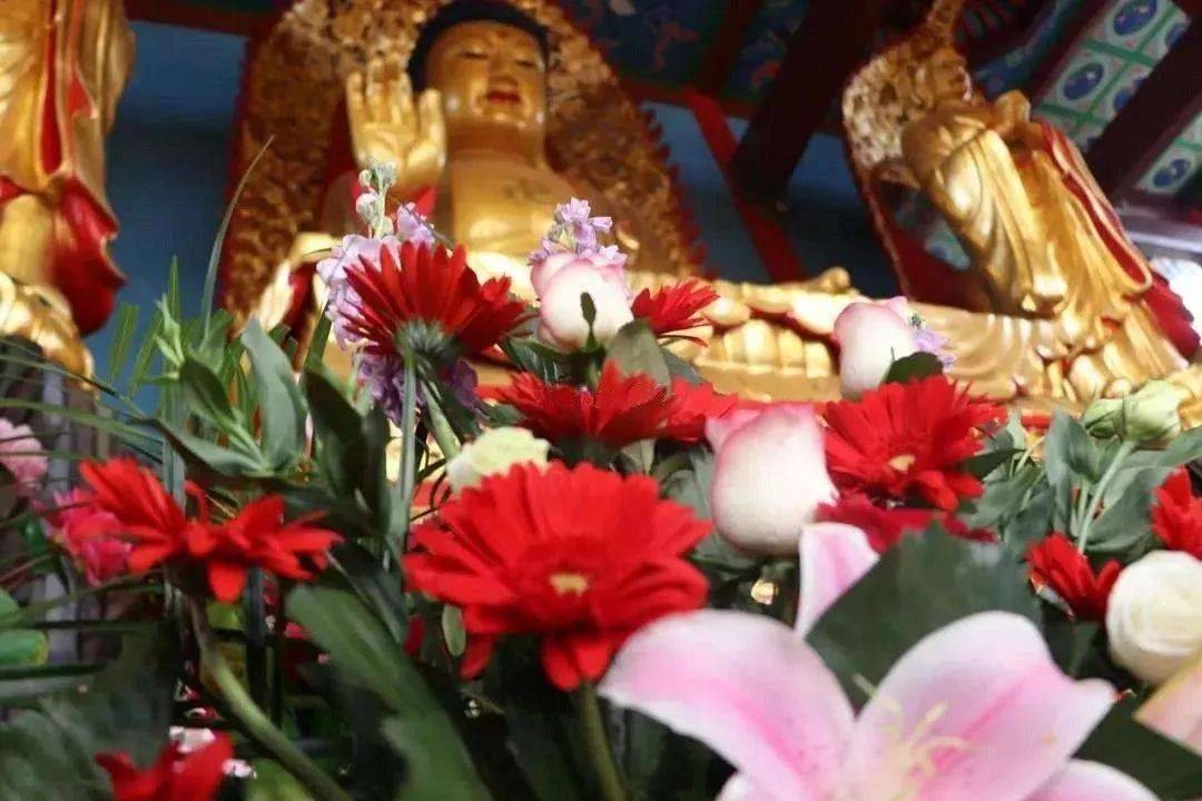 什么样的因缘让你与佛结缘总结的太透彻了