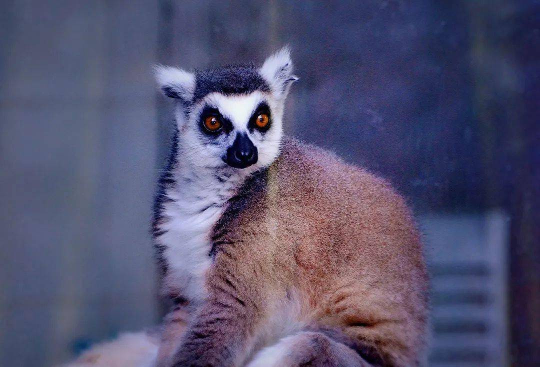 入夏后的虹口美不胜收