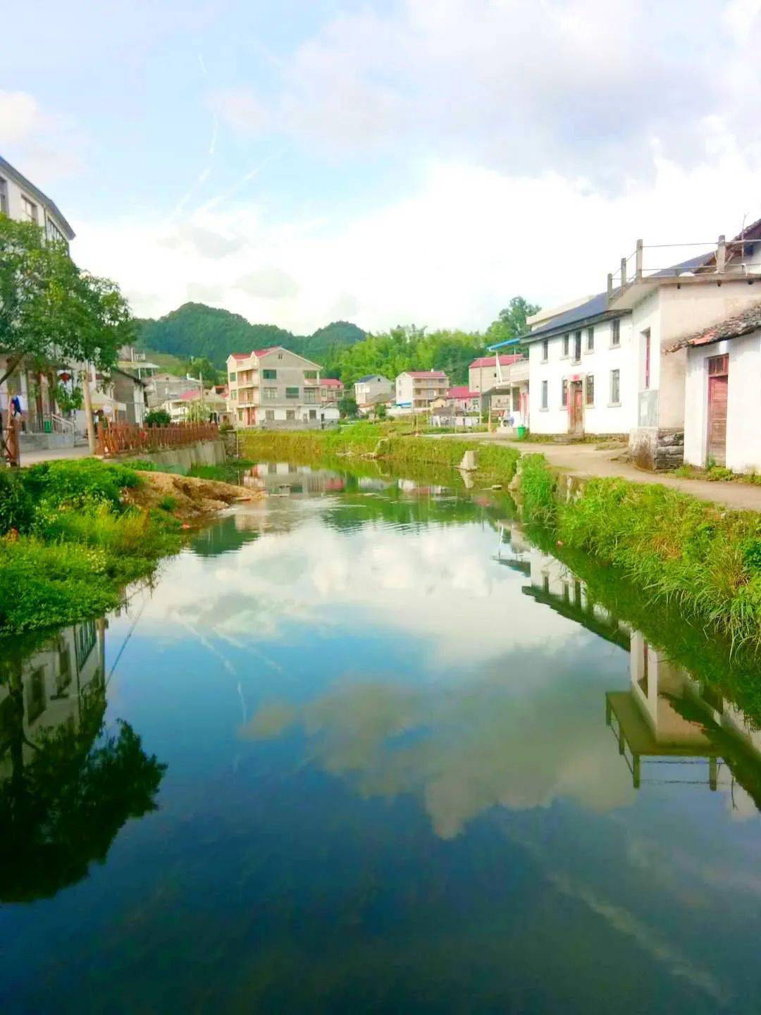 打造宜居美丽生态乡村浮梁县新增一省级乡村森林公园