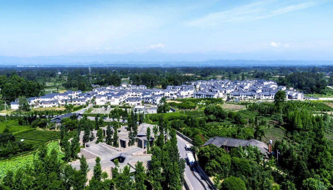 新华访谈丨刘富程:成都蒲江县擦亮乡村振兴"三原色" 建成美丽四川