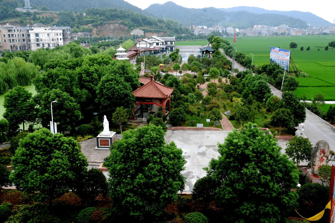 大溪镇党代表组团式专题服务为美丽乡村建设出金点子