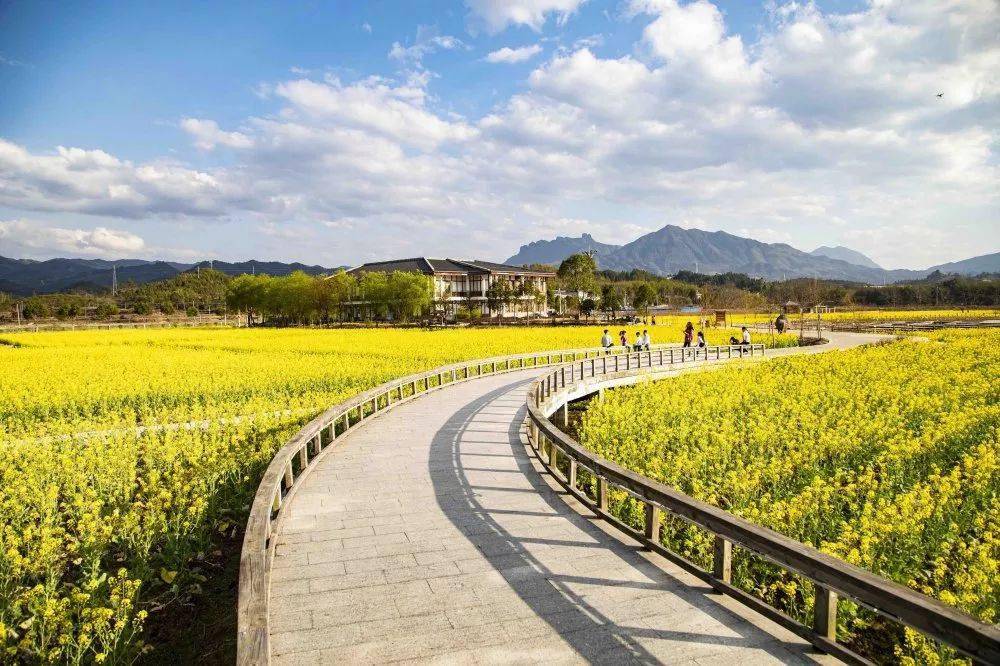 建宁召开文旅森林康养产业专题推进会