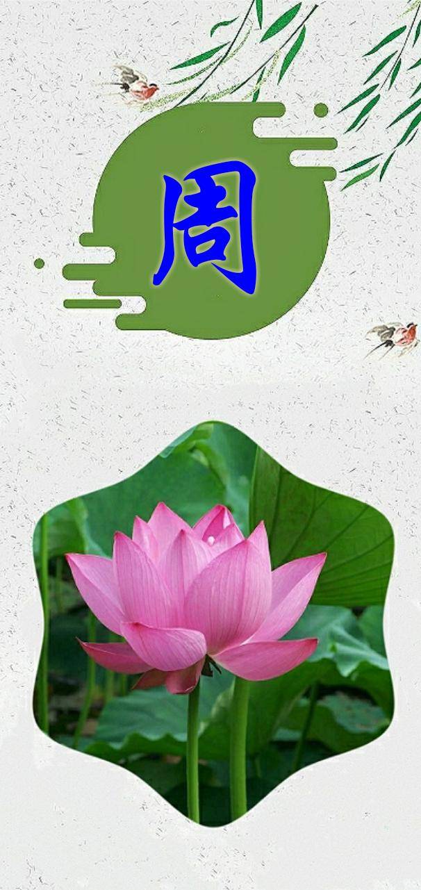 好看的荷花图案,常用姓氏壁纸,精心制作