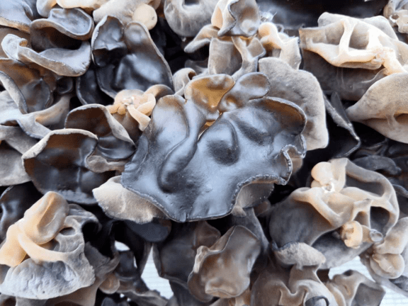 消费扶贫镇西村纯绿色木耳已丰收还在等什么快来买吧