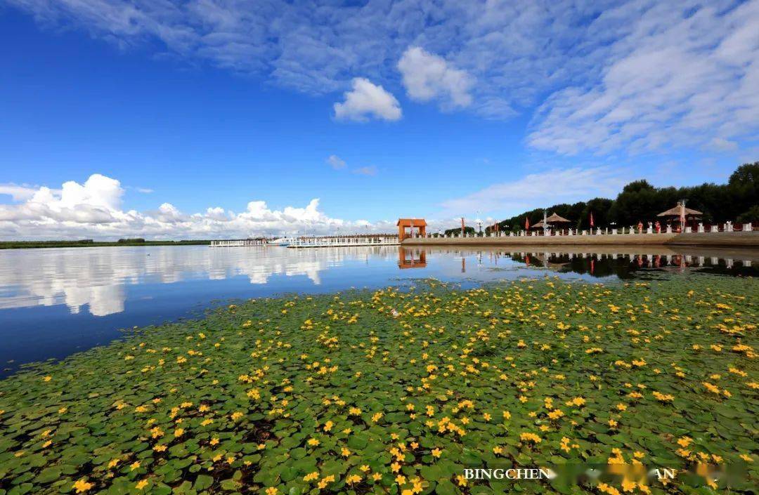 阿克苏千鸟湖图片