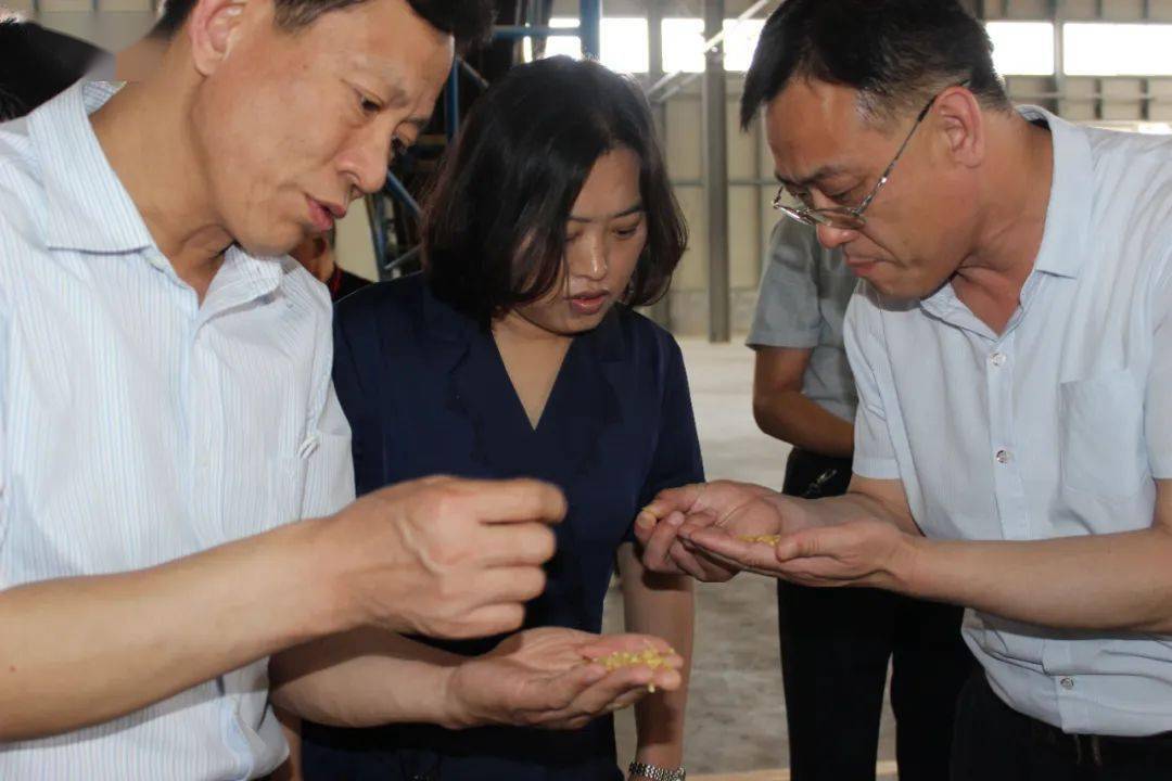 统战部部长李芳,市委统战部副部长,工商联党组书记许鹏,陵城镇党委