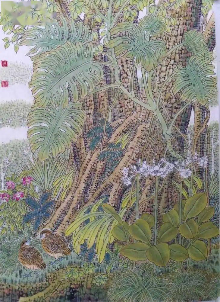 生生不息生机勃勃之美的热带雨林