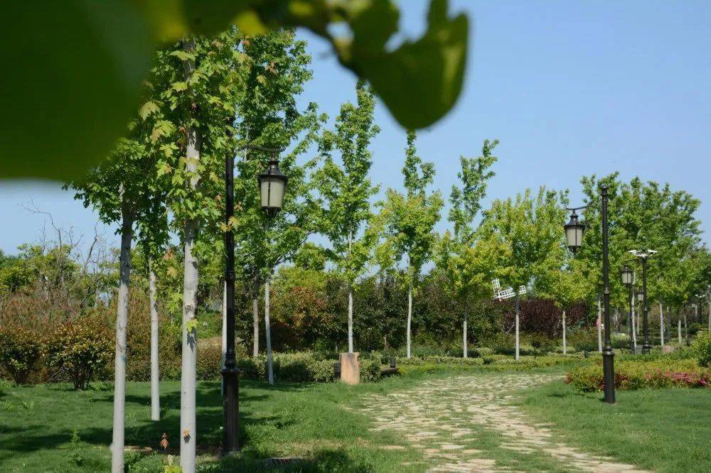 赞龙口黄城这处隐匿的好风景即将开放位置就在