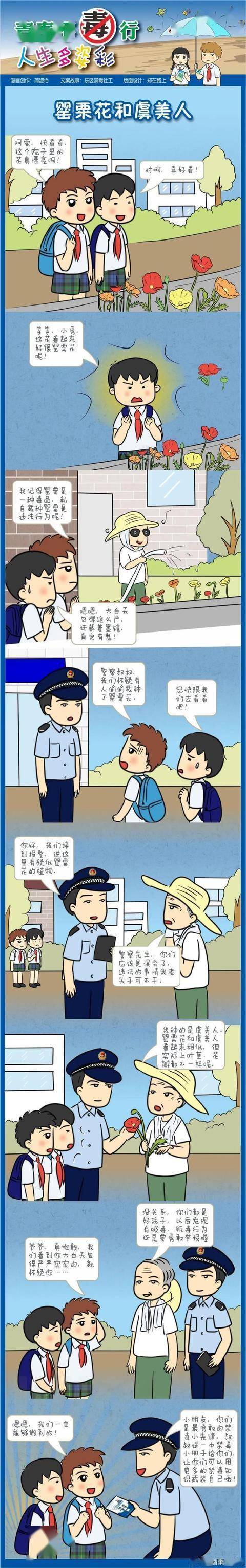 看禁毒漫画识别罂粟花和虞美人