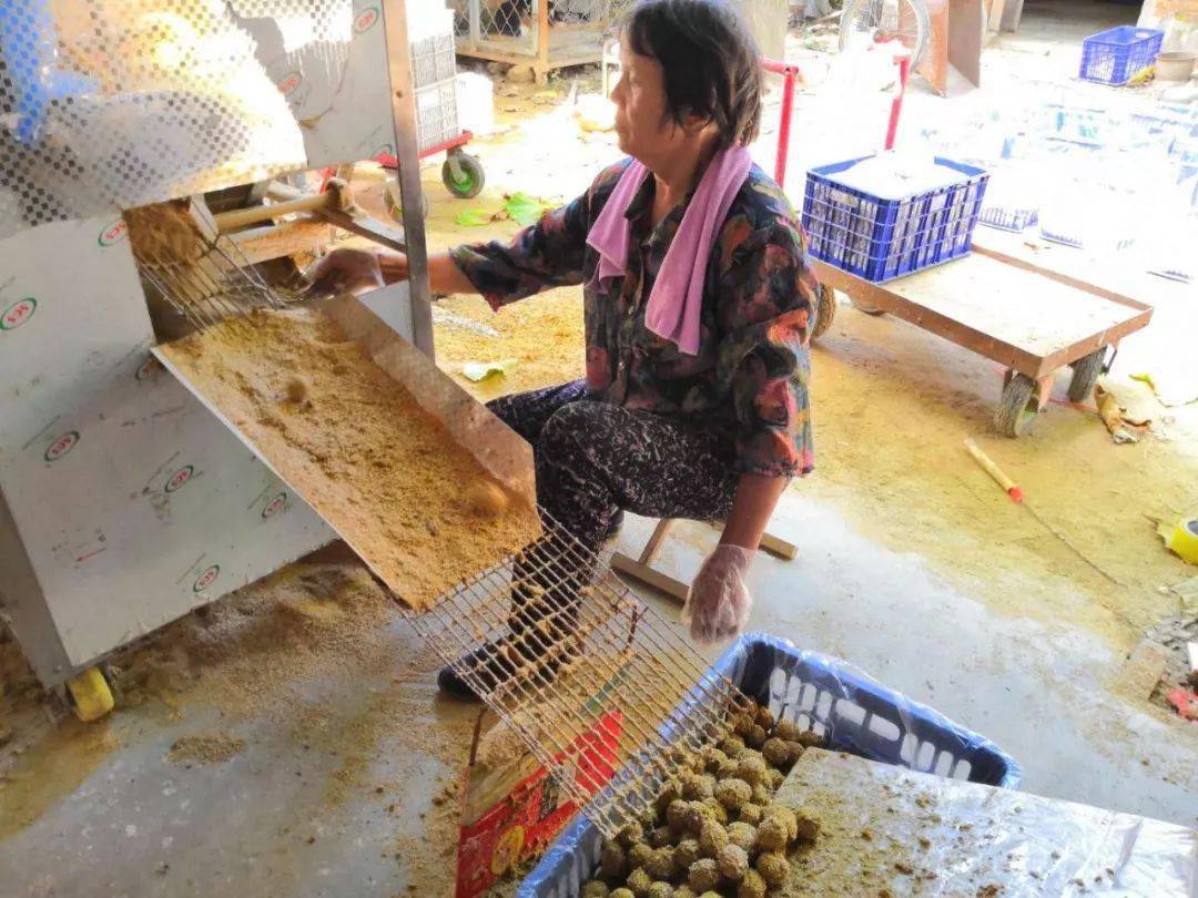 鹌鹑变蛋加工厂地址:分店经销处:谷熟镇老医院正西面粉厂对面返回搜狐