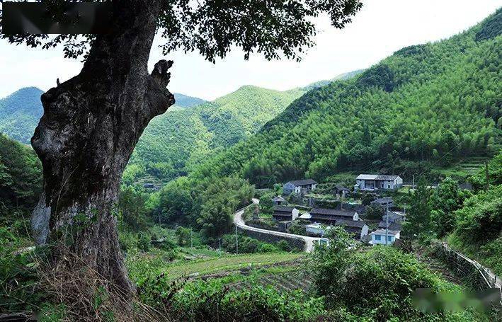 诗境家园上李坑,藏在深山少人识_徐霞客