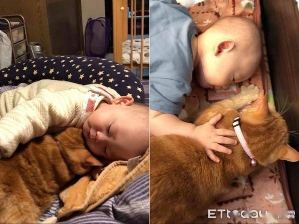 妈妈大腿忙!婴儿屁屁硬卡抢王位