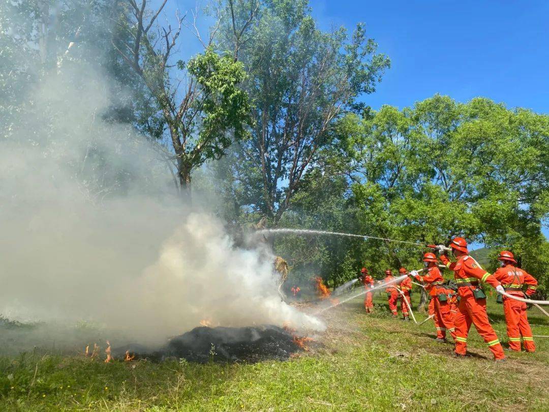 防患于未"燃" 扎兰屯市林草局开展森林草原防火演练_灭火
