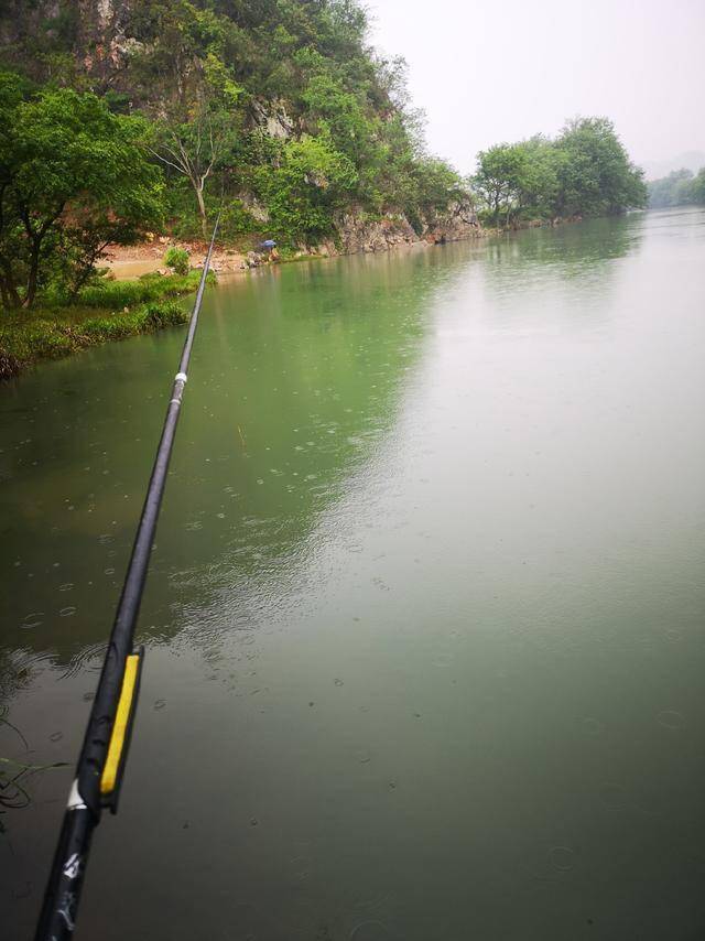 智者乐山仁者乐水钓鱼人乐鱼却为娱