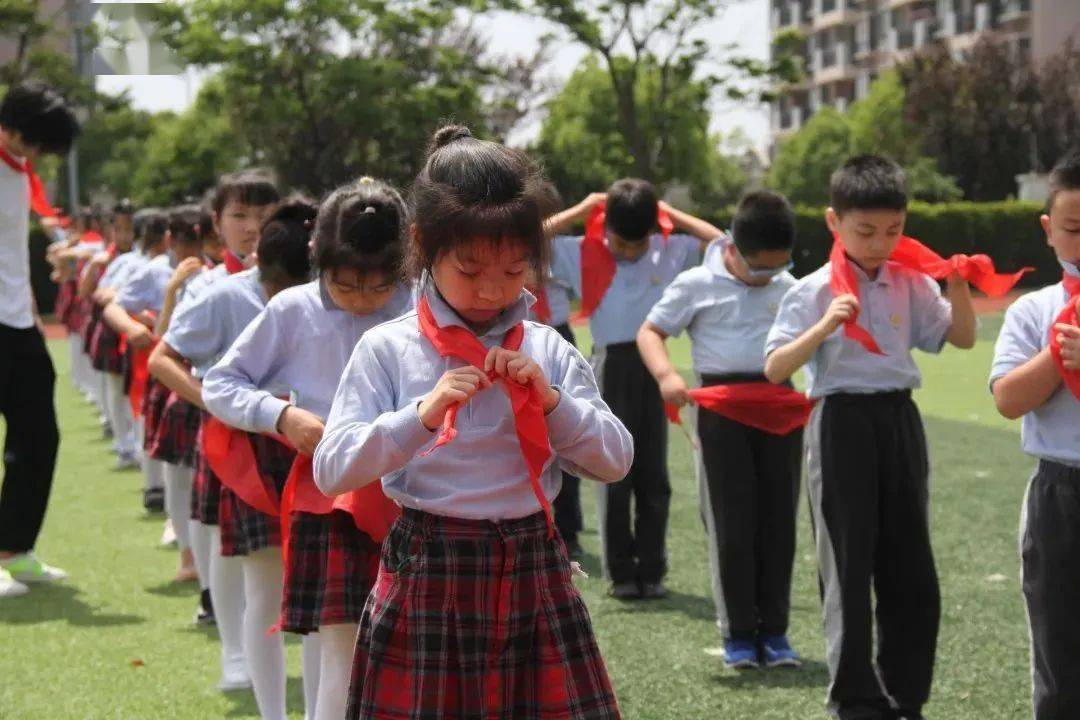 学府小学朱行小学山阳小学教院附小第一实验小学朱泾小学朱泾二小亭林