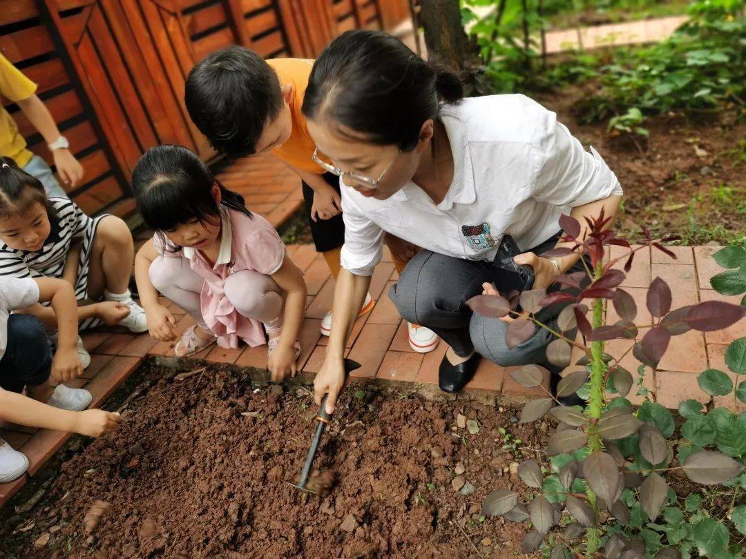 上朗中昂锦绣幼儿园户外种植活动播种绿色呵护成长