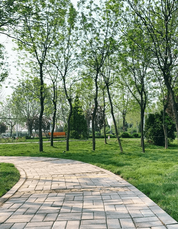 牡丹華都南側綠地公園