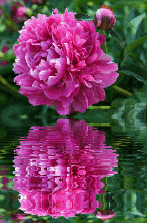 太美了,美到让人无法呼吸!看看吧!