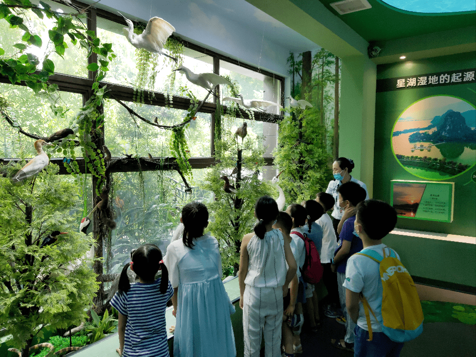 护一片绿意"星湖国家湿地公园科普教育基地生态科普活动顺利举行_自然