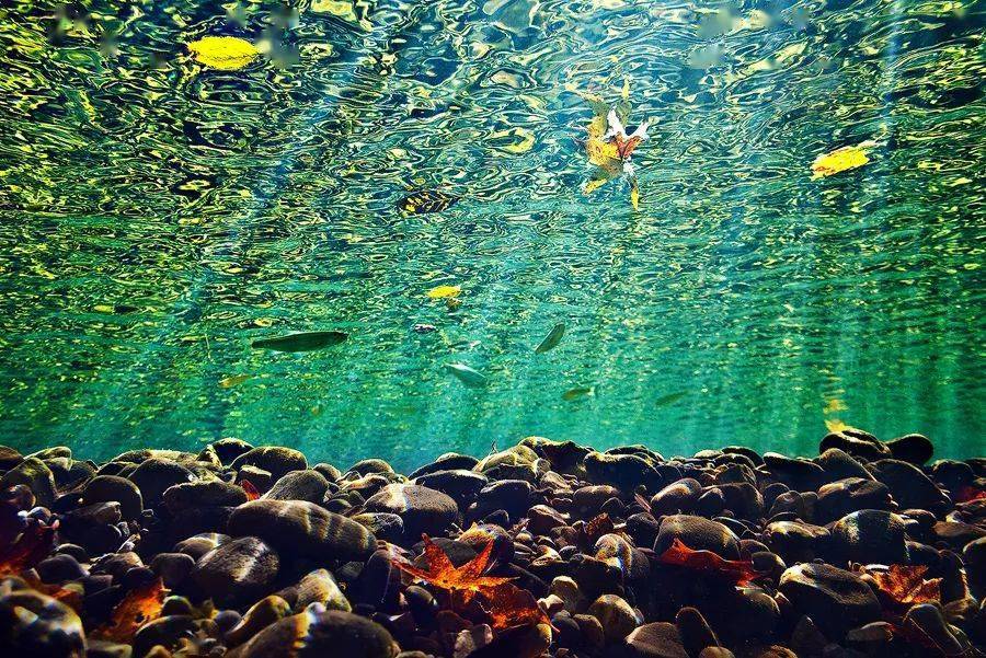 下面就沿着buffalo河,走入这个狂野的世界吧!