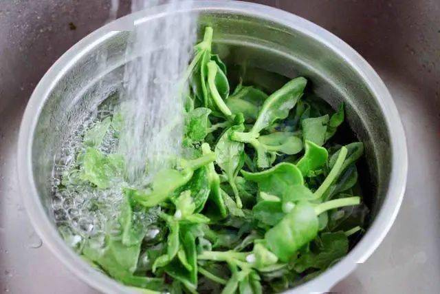 三七叶去除老叶后,清水里加入少许小苏打浸泡10分钟后,用清水冲洗干净