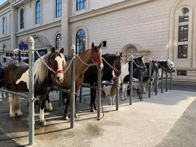 局部地区疫情风险仍然存在,如何做好马场的日常防范?