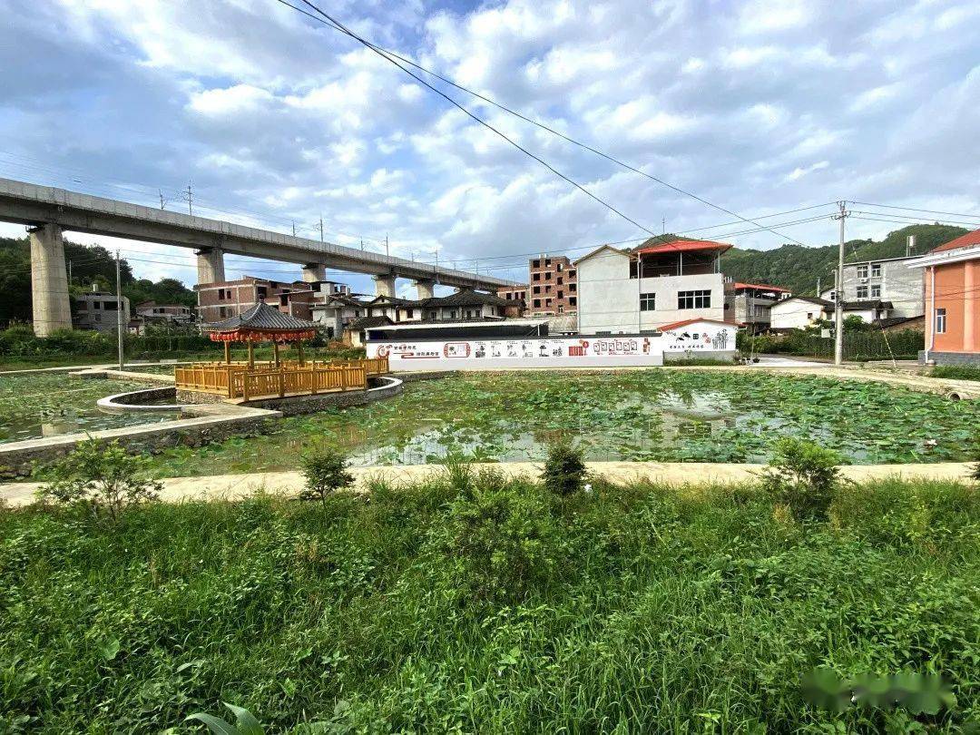 乡村振兴西园镇党员当表率纵深推进一革命四行动