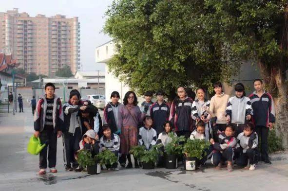 初中强校小身板大能量揭秘瓯海区仙岩第二中学的不普通