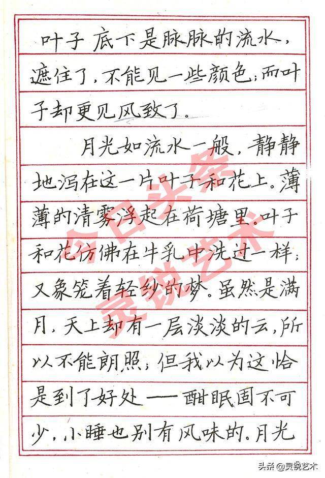 张秀硬笔书法字帖pdf图片