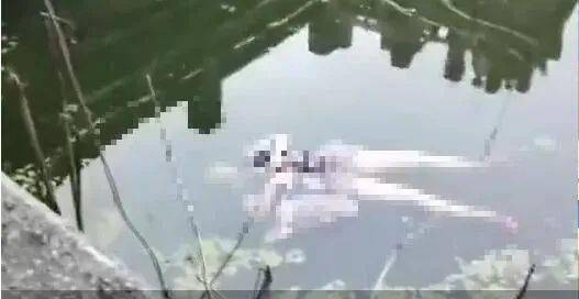昨晨蓬溪芝溪河内发现一具女性浮尸警方已介入调查